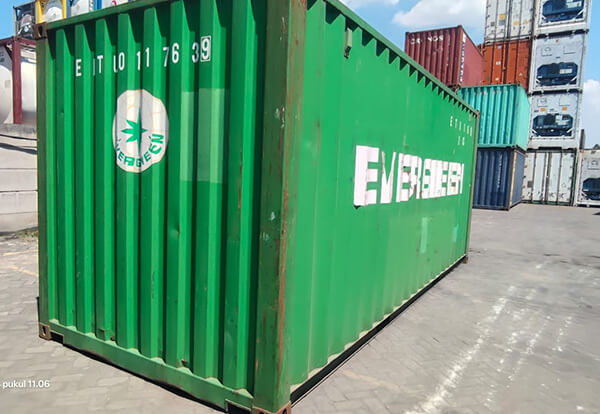 Container evergreen
